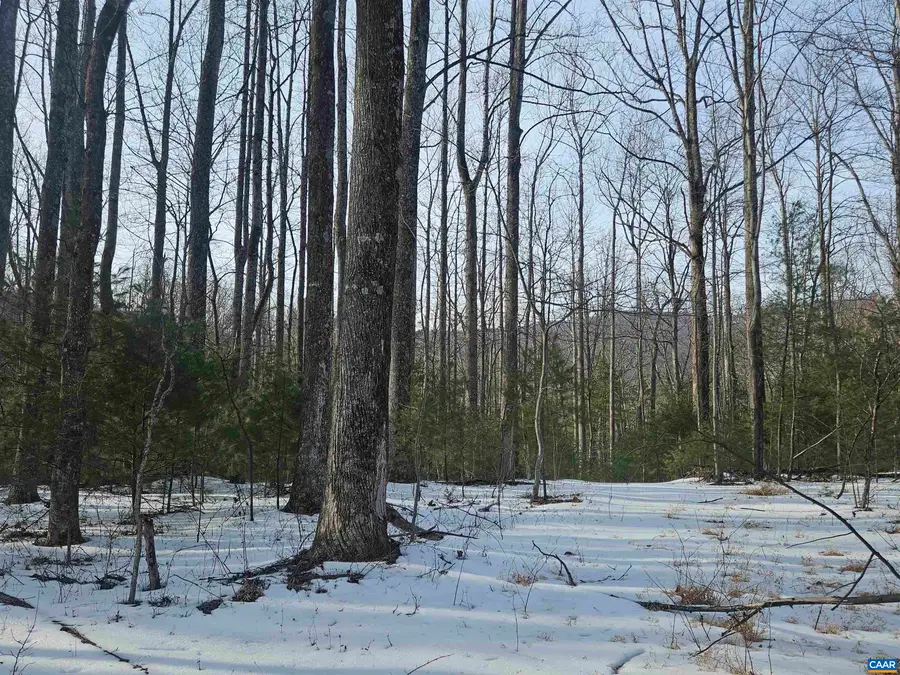 TBD Lot 56G Turkey Ridge Rd, Stanardsville, VA 22973 - #2