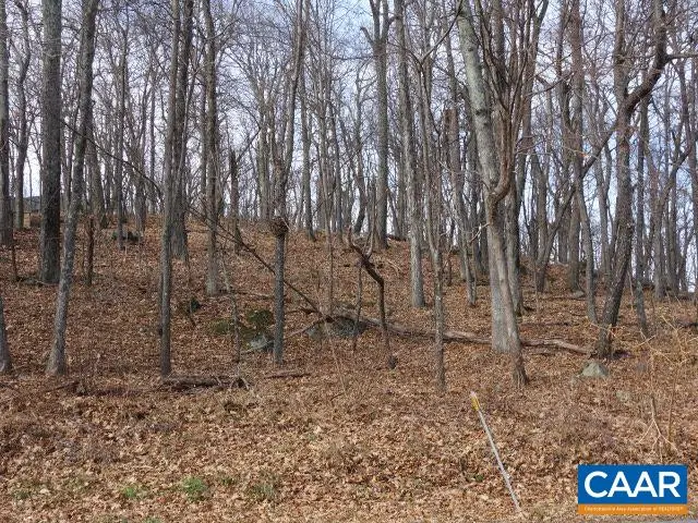 91 Shamokin Springs Trl, Wintergreen, VA 22958 - #2