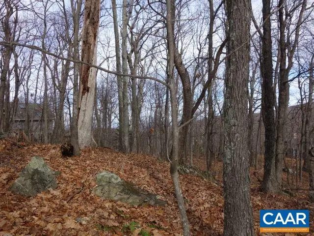 91 Shamokin Springs Trl, Wintergreen, VA 22958 - #3