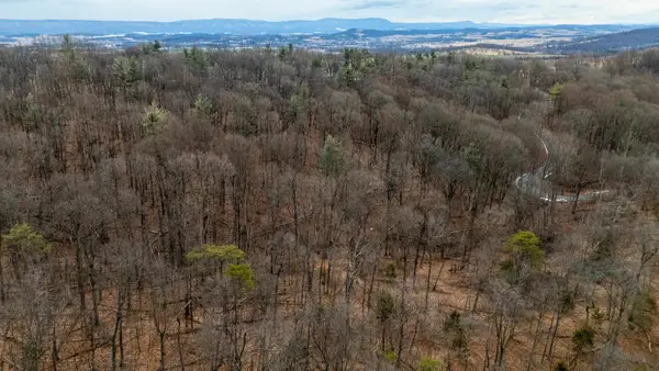 0 Vetters Rd, TIMBERVILLE, VA 22853