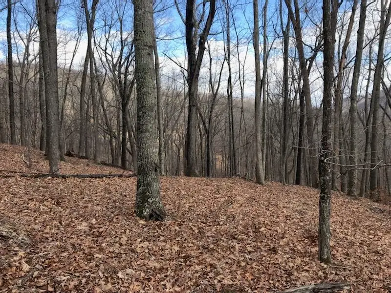 35 Dogwood Ln, Monterey, VA 24465 - #1
