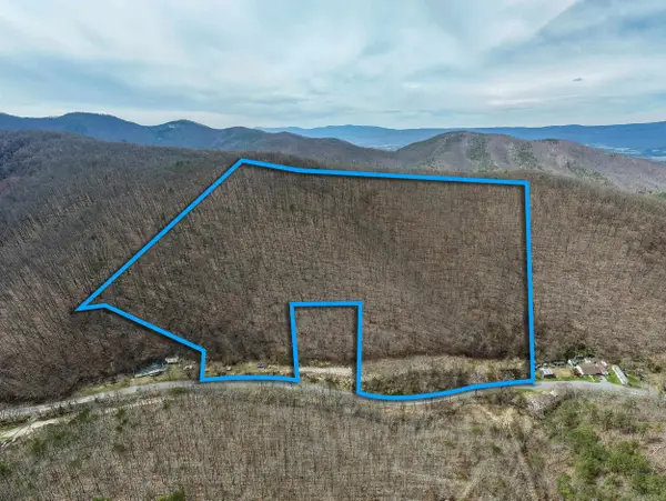 2382 Lucas Hollow Rd, STANLEY, VA 22851