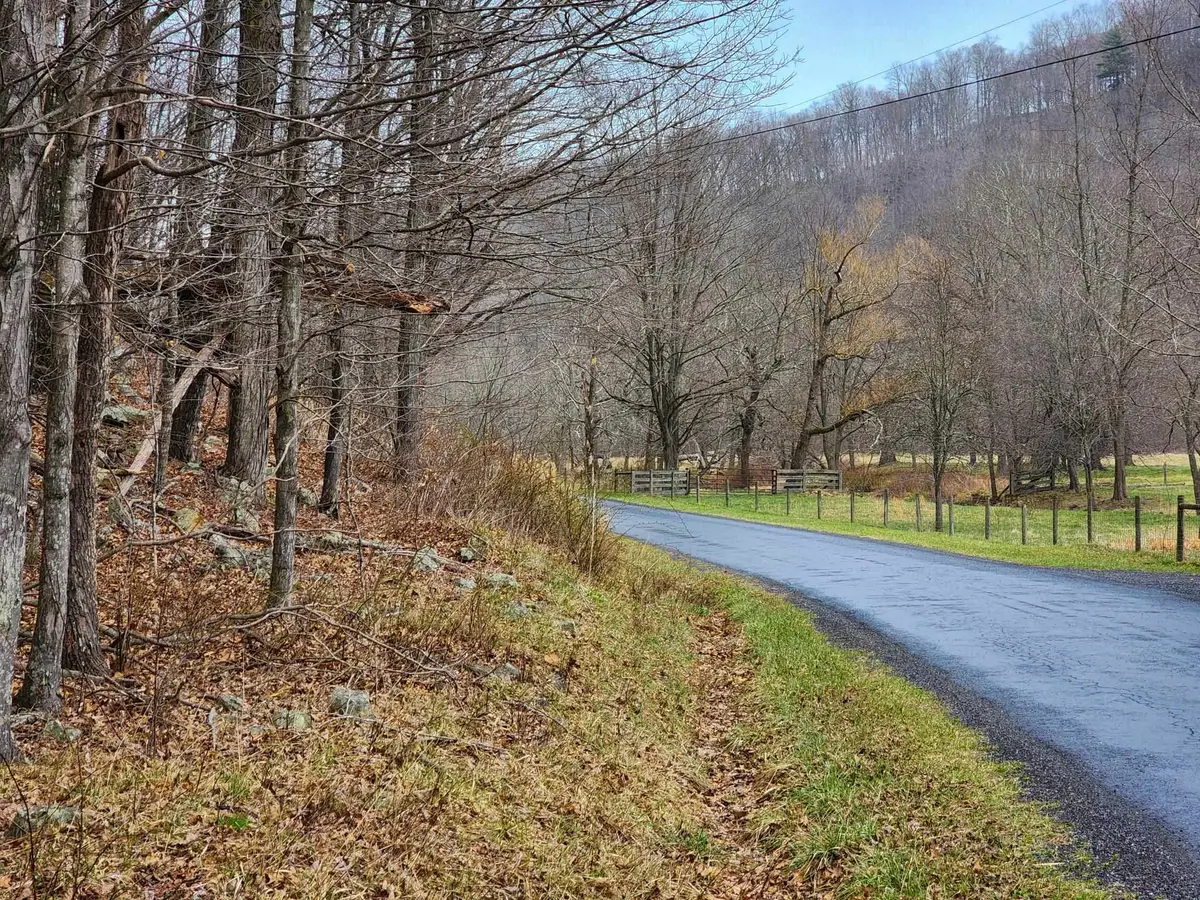 TBD Jack Mountain Rd, Doe Hill, VA 24433 - #1