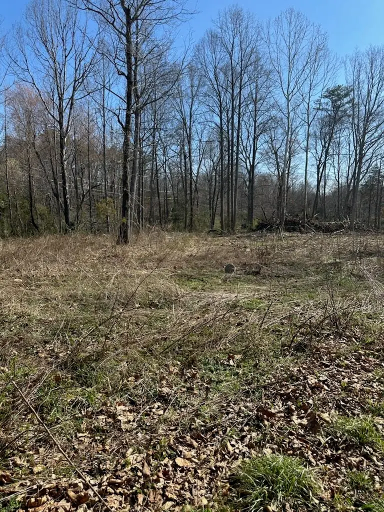 TBD  0 Crimora Mine Rd, Crimora, VA 24431 - #1