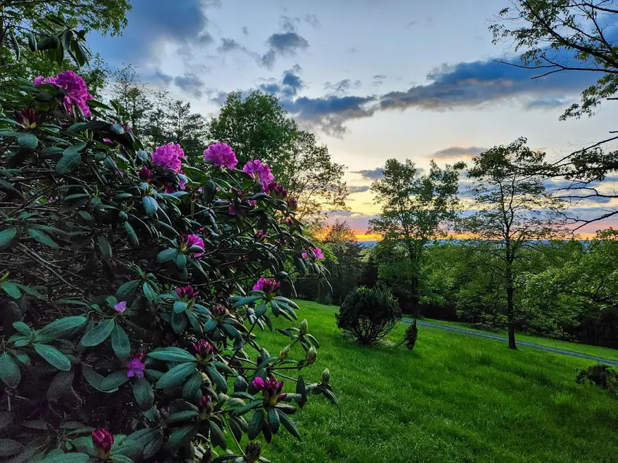 188 New Market Reservoir Rd, New Market, VA 22844 - #3