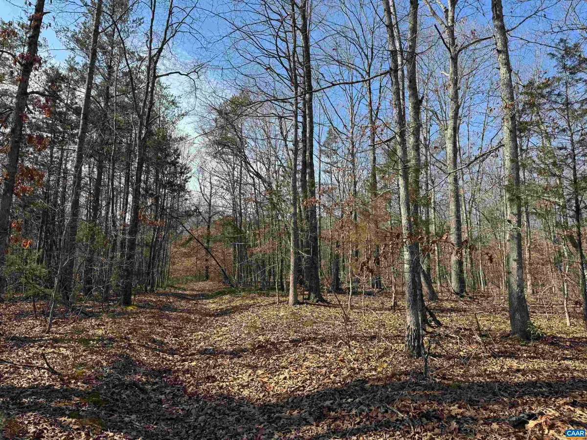 2301 Three Notch Rd, Kents Store, VA 23084 - #1