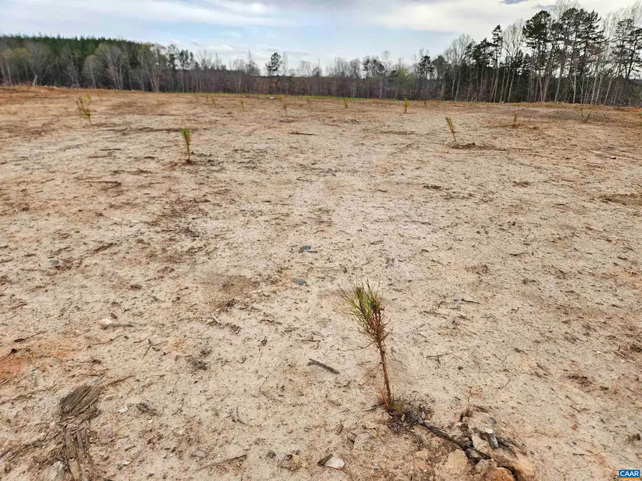 83.84 Ac S James River Rd, Buckingham, VA 23921 - #3