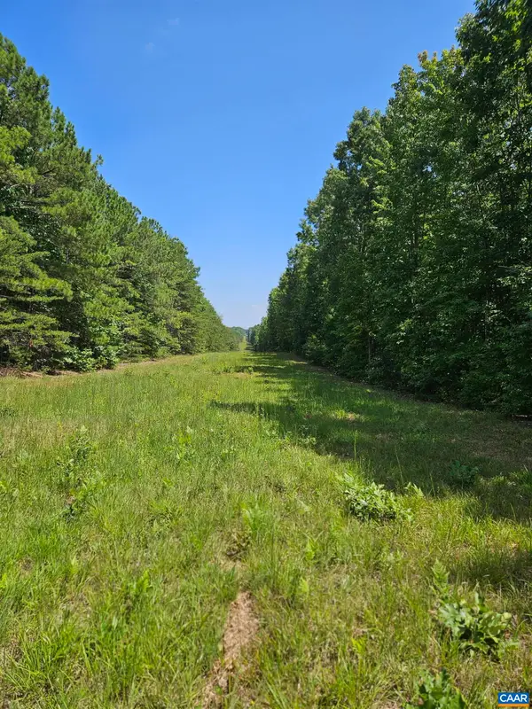 100 Ac W James Anderson Hwy, GLADSTONE, VA 24553