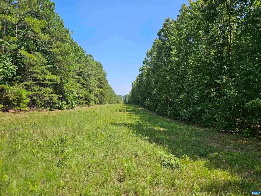 100 Ac W James Anderson Hwy, Gladstone, VA 24553 - #2