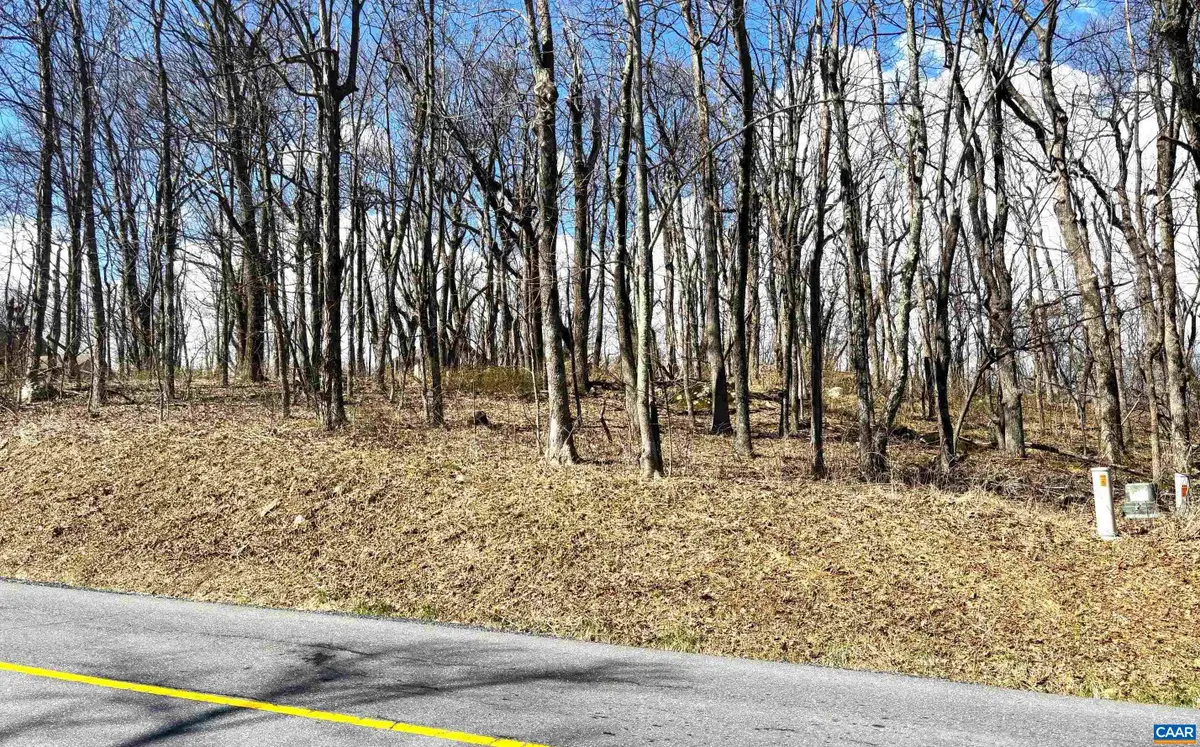 433 Laurel Springs Dr, Wintergreen Resort, VA 22967 - #1