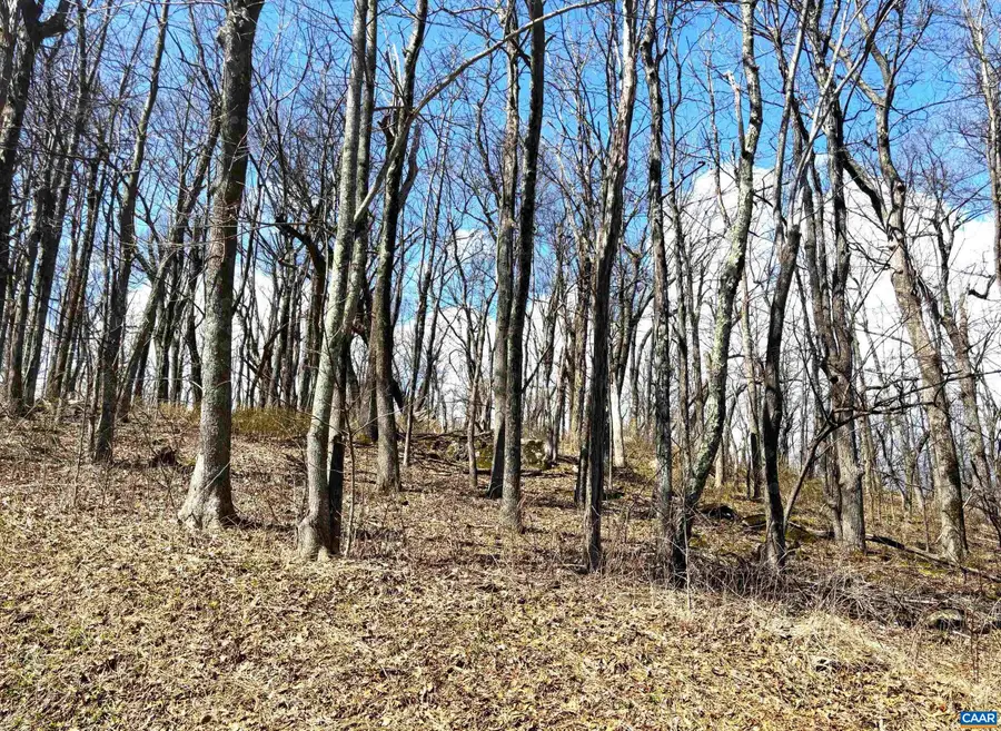 433 Laurel Springs Dr, Wintergreen Resort, VA 22967 - #2