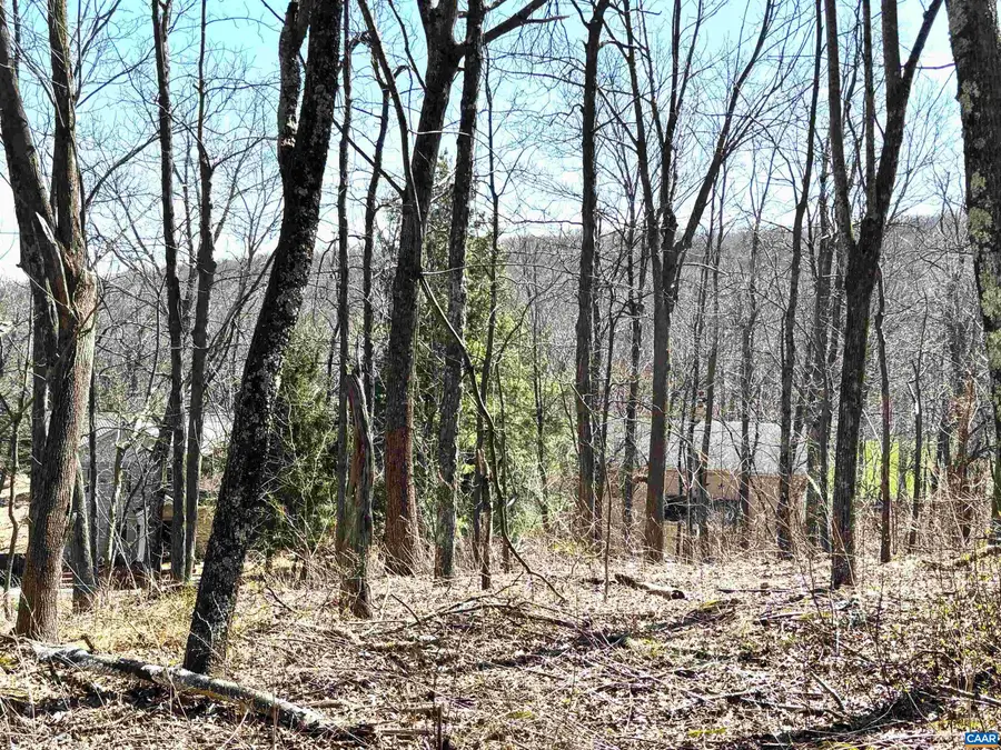 433 Laurel Springs Dr, Wintergreen Resort, VA 22967 - #3