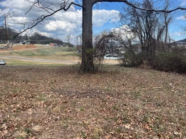 912 Moore St, Staunton, VA 24401 - #2