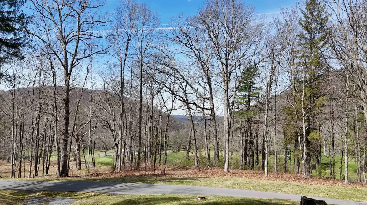 61 & 62 Old Course Trl, Hot Springs, VA 24445 - #1