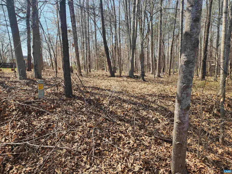 28 Jennings Dr, Palmyra, VA 22963 - #2