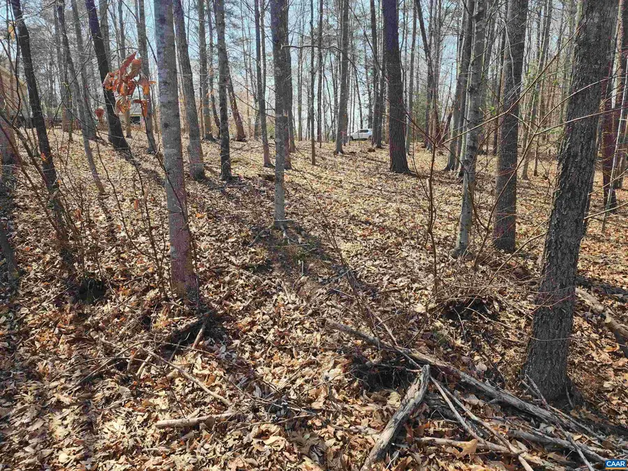 28 Jennings Dr, Palmyra, VA 22963 - #3