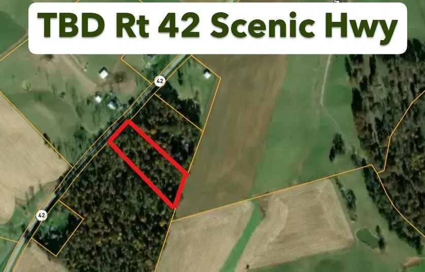 TBD N Scenic Hwy, Mount Solon, VA 22843 - #1