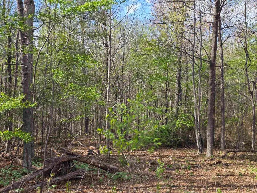 TBD N Scenic Hwy, Mount Solon, VA 22843 - #3