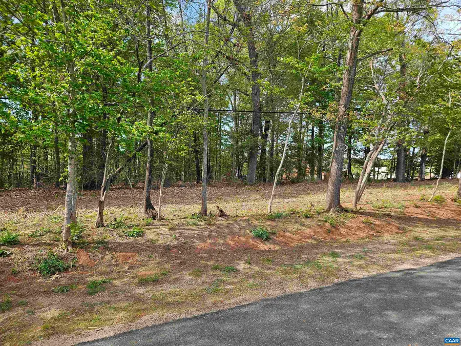 0.73 Ac N James Madison Hwy, Dillwyn, VA 23936 - #3