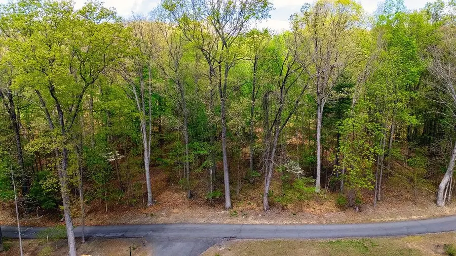 TBD Hessian Ln, Staunton, VA 24401 - #2