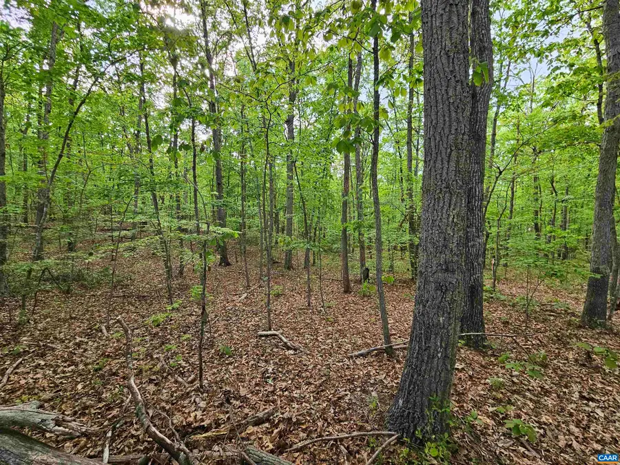 3.1 Ac Axtell Rd, Howardsville, VA 24562 - #2