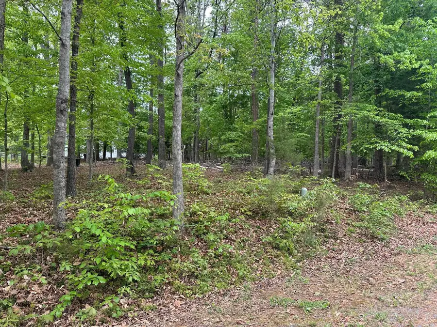 4 East Point Rd, Palmyra, VA 22963 - #2
