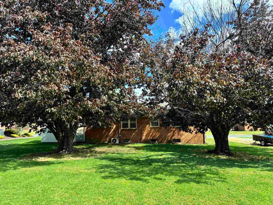 305 N Pope St, Bridgewater, VA 22812 - #3