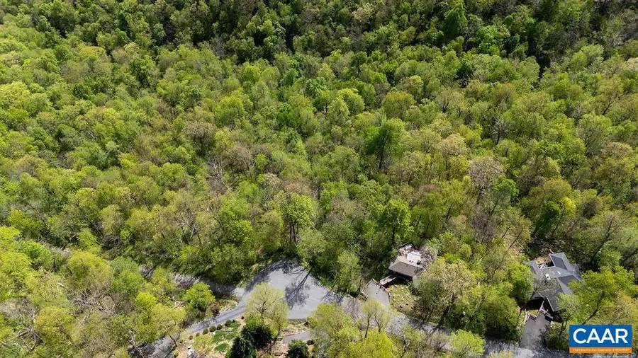 2242 Laurel Springs Dr, Wintergreen Resort, VA 22967 - #3