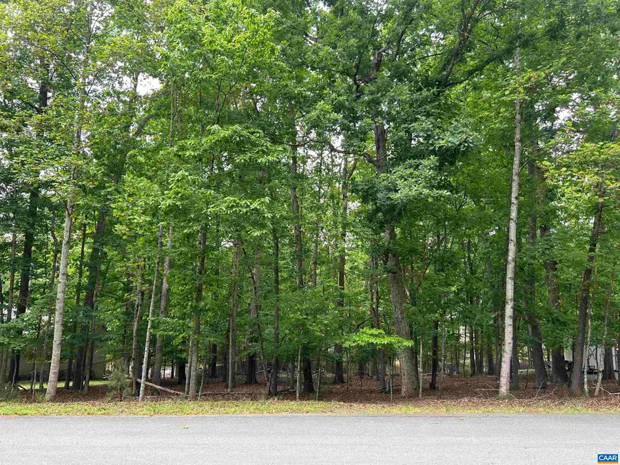 25 Laguna Rd, Palmyra, VA 22963 - #2