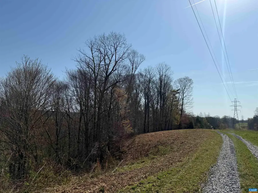 0 Paynes Pond Rd, Scottsville, VA 24590 - #3
