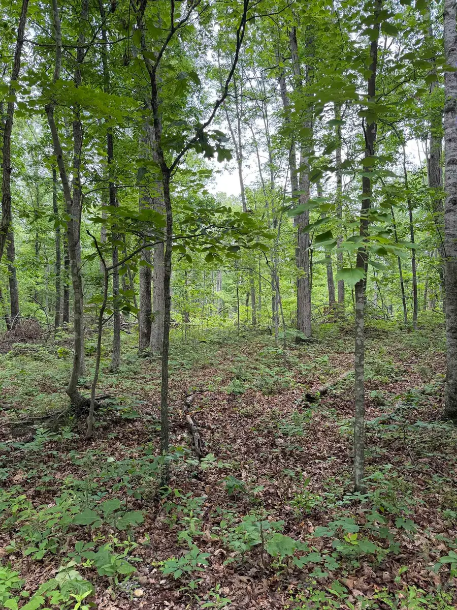 Lot 52 Lake Dr, Crimora, VA 24431 - #2