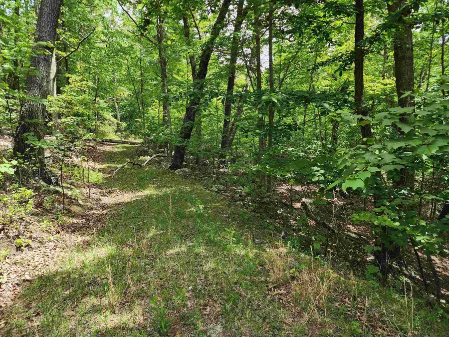 39V S High Valley Dr, Monterey, VA 24465 - #3