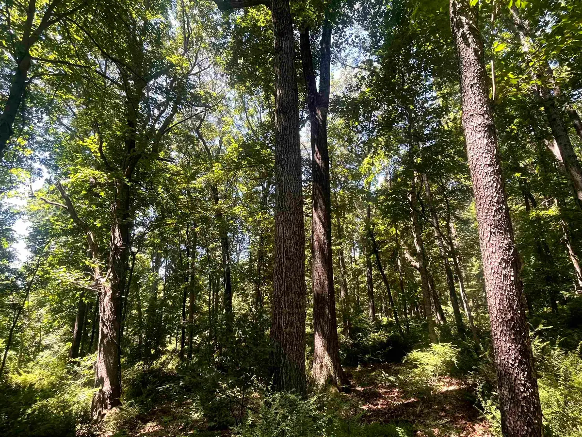 TBD Spottswood Rd, Spottswood, VA 24476 - #1