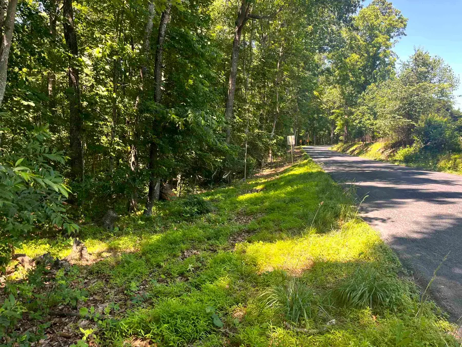 TBD Spottswood Rd, Spottswood, VA 24476 - #2