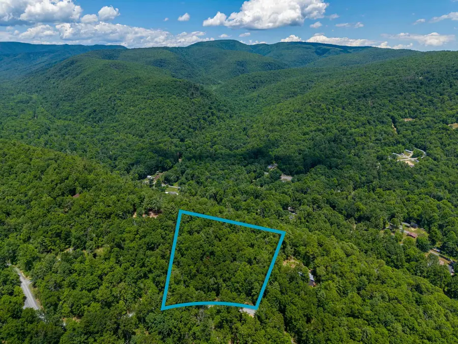 5 Rabbits Foot Rd, Hinton, VA 22831 - #3