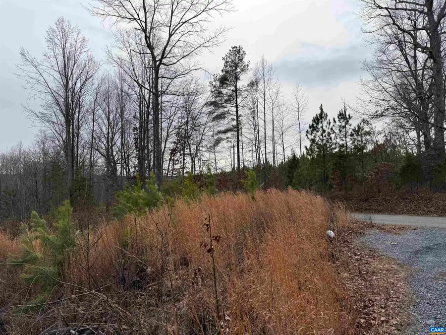 TBD Community House Rd, Kents Store, VA 23084 - #2