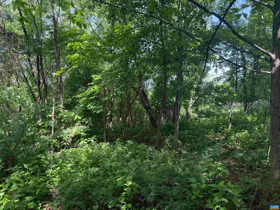 TBD 1a Eagles Nest Dr, Goodview, VA 24095 - #3