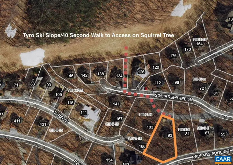 93 Squirrel Tree Ln, Wintergreen Resort, VA 22967 - #3
