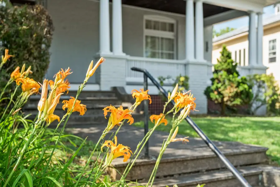 308 Vine St, Staunton, VA 24401 - #3