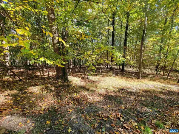 41 Hickory Spring Rd, WINTERGREEN RESORT, VA 22967