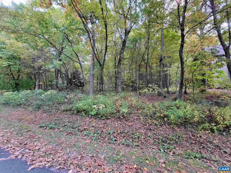 41 Hickory Spring Rd, Wintergreen Resort, VA 22967 - #2