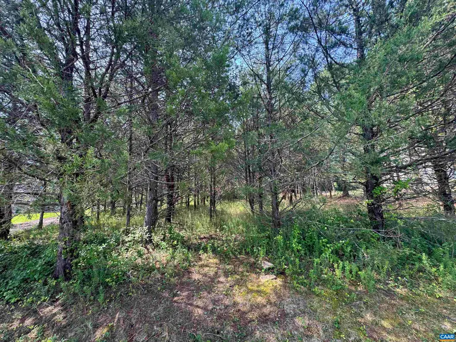 TBD Hunters Pt, Nellysford, VA 22958 - #3