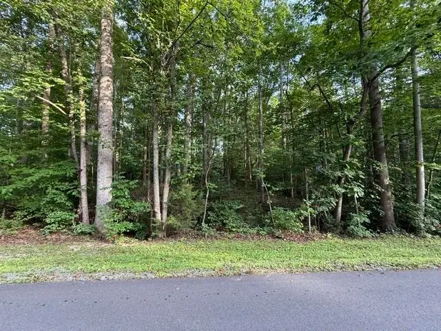 TBD Ellis Dr, Louisa, VA 23093 - #3