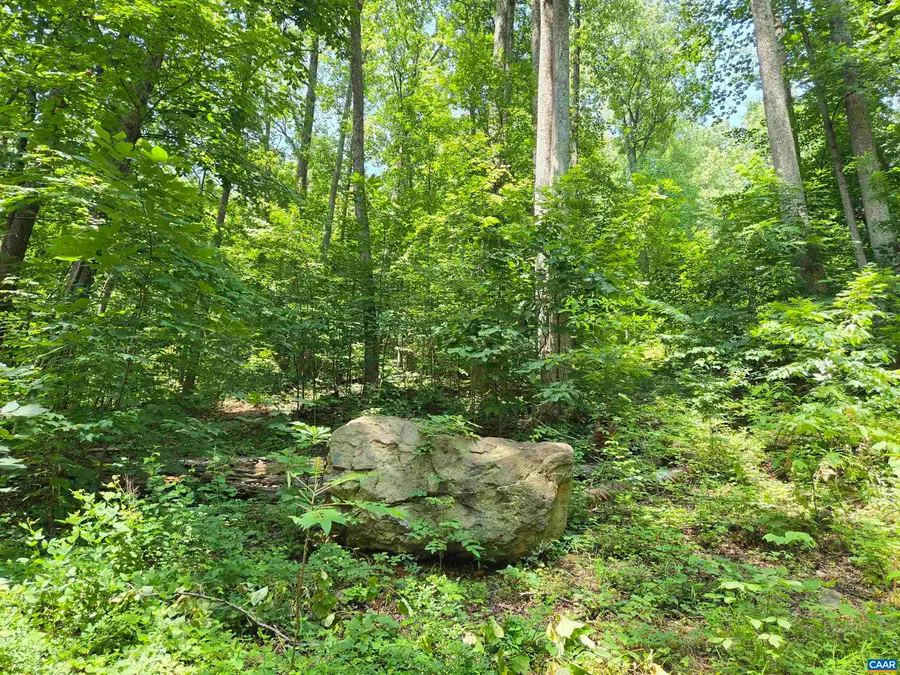 Lots 44 & 45 Red Bird Dr, Stanardsville, VA 22973 - #3