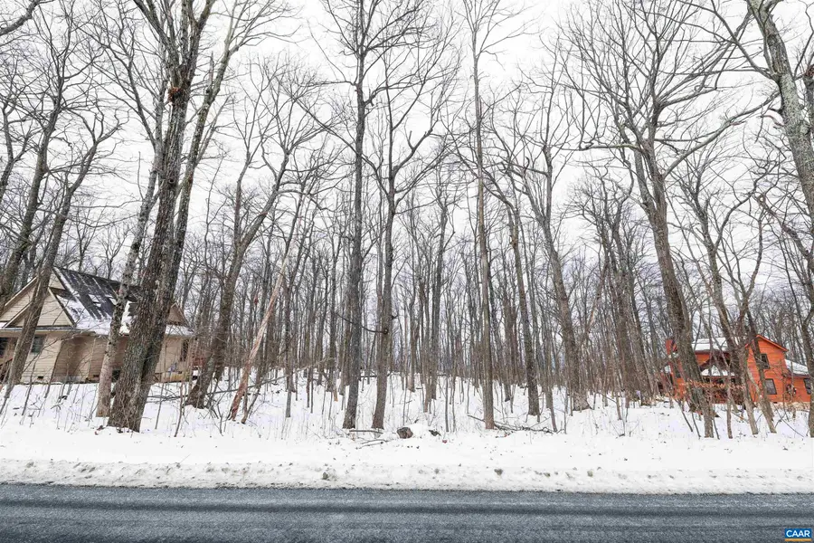 1331 Laurel Springs Rd, Wintergreen Resort, VA 22967 - #2