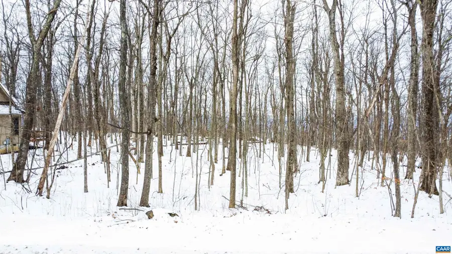 1331 Laurel Springs Rd, Wintergreen Resort, VA 22967 - #3