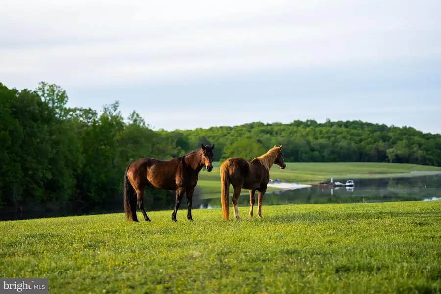 6887 Blenheim Road, Scottsville, VA 24590 - #2