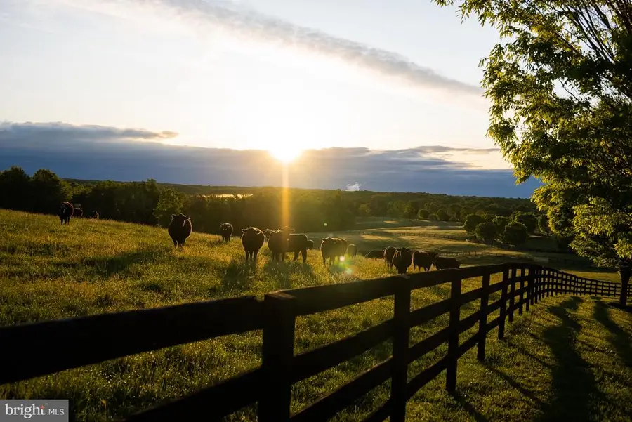 6887 Blenheim Road, Scottsville, VA 24590 - #3