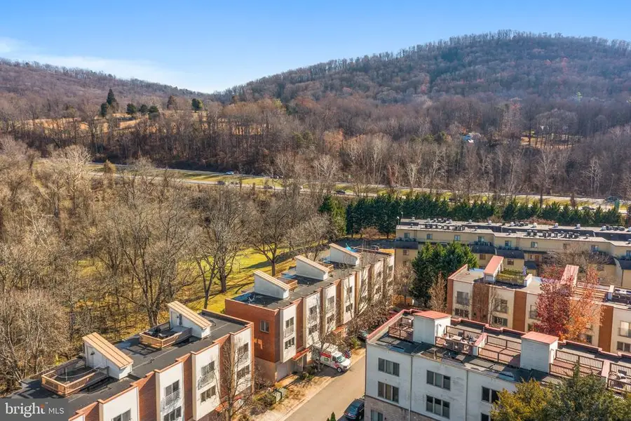 1013 Linden Ave #H, Charlottesville, VA 22902 - Image #3