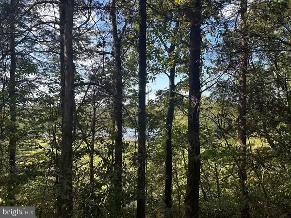 Kipps Ln, ELKWOOD, VA 22718